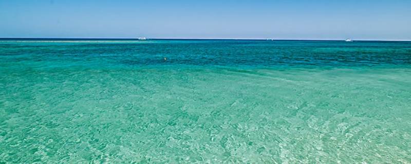 阿拉伯它的海水一般呈什么色（连接地中海和阿拉伯海的海水一般呈什么颜色）