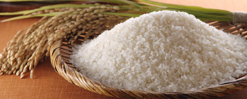 梗米跟大米有什么区别吗（粳米好吃还是大米好吃）
