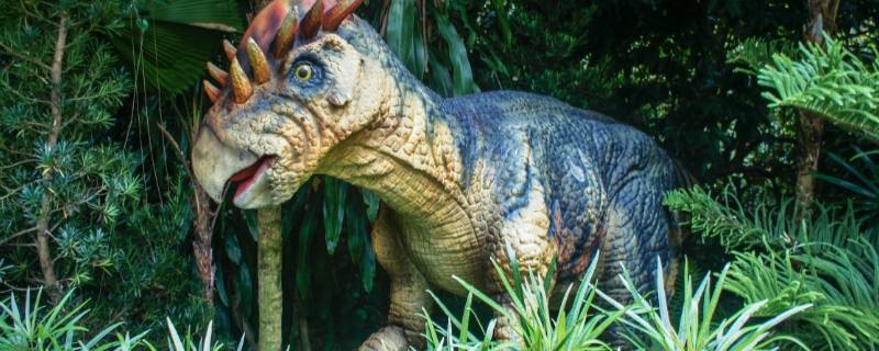 爬行类的恐龙主要生活在什么年代 爬行类的恐龙主要生活在什么年代的动物