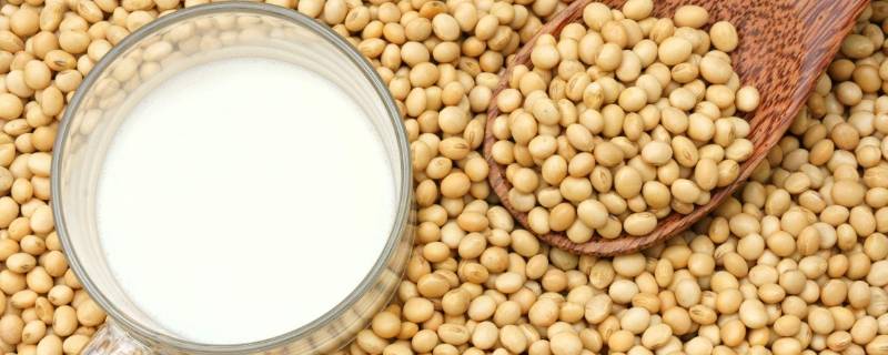 大豆蛋白是什么 配料表中的大豆蛋白是什么