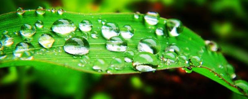 10月份晚上有露水吗 十一月份晚上有没有露水