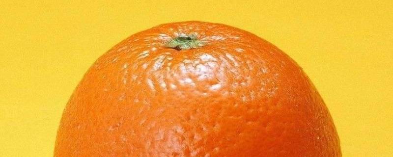 橙色代表什么寓意和象征意义（橙色的意义和寓意）
