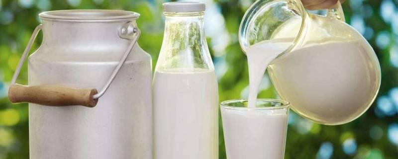 生牛乳和纯牛奶有什么区别 生牛乳和纯牛奶有什么区别张起灵