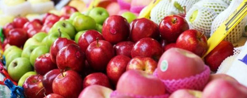9月份应季水果有哪些 9月份应季水果有哪些水果