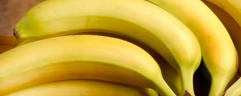 香蕉是水果吗 香蕉是水果吗是什么梗