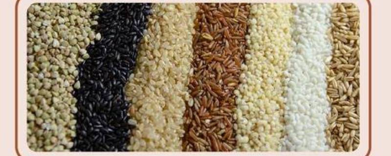 七色糙米都有什么米（七色糙米都有什么米能减肥吗）
