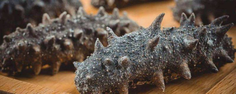 在家发海参方便方法 怎样自发海参