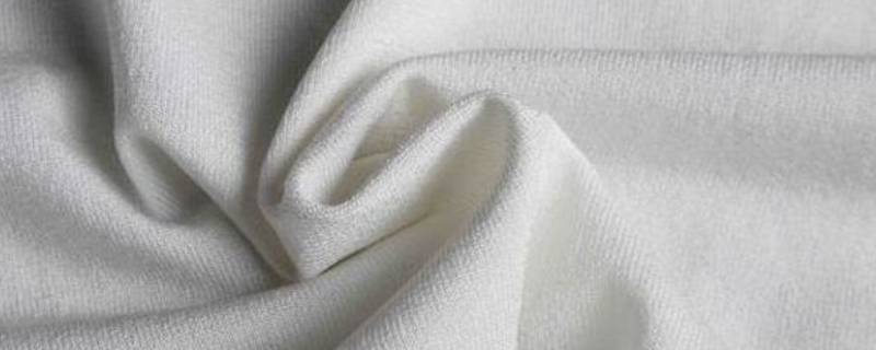棉纶属于什么类型的纤维（纤维,涤纶,棉有什么区别）