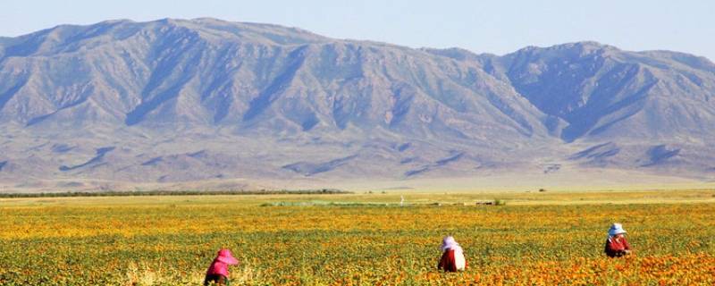 裕民县属于哪个地区（裕民县属于哪个地州）
