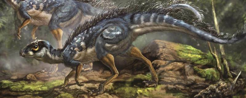 恐龙繁盛的地质年代是什么年代 恐龙主要出现在地质历史上哪个时代