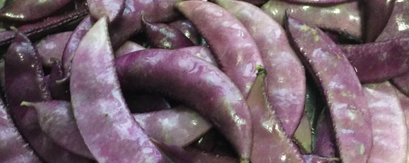 扁豆怎么腌制咸菜 扁豆角咸菜的做法