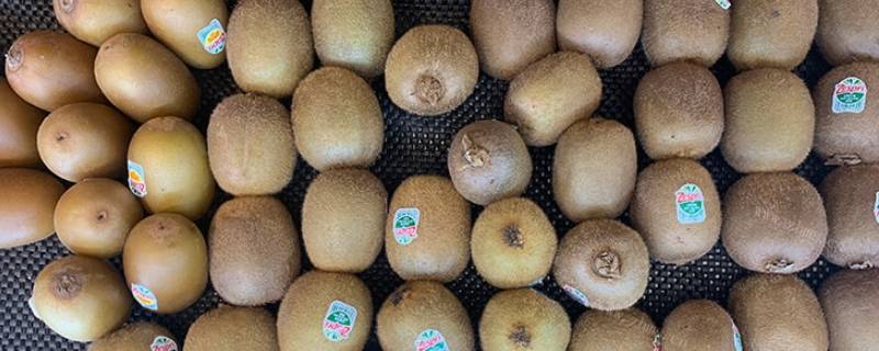 猕猴桃冰箱的储存方法 猕猴桃放冰箱保鲜