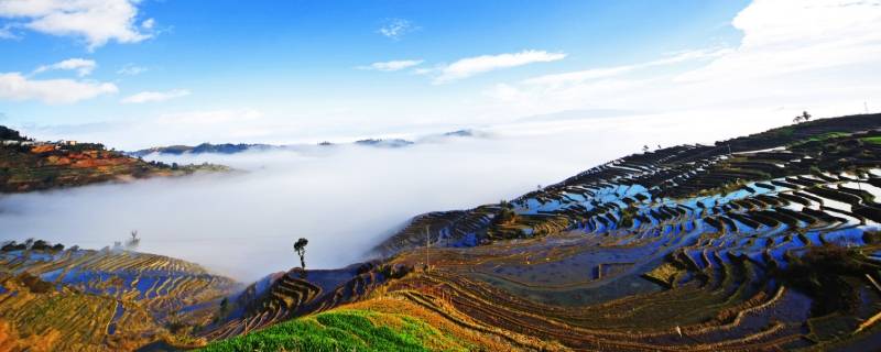 哀牢山在云南什么地方 哀牢山在云南的什么地方