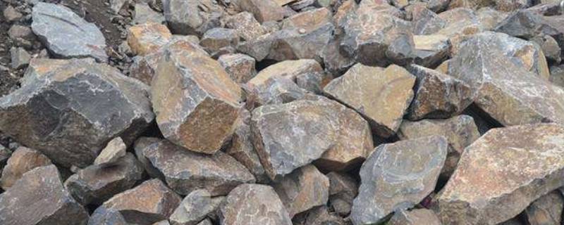 石灰岩属于什么岩（石灰岩属于什么岩石）