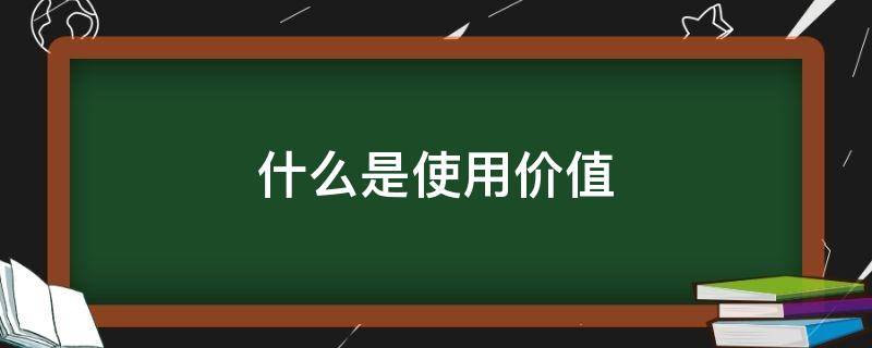 什么是使用价值 什么是使用价值和价值的统一体