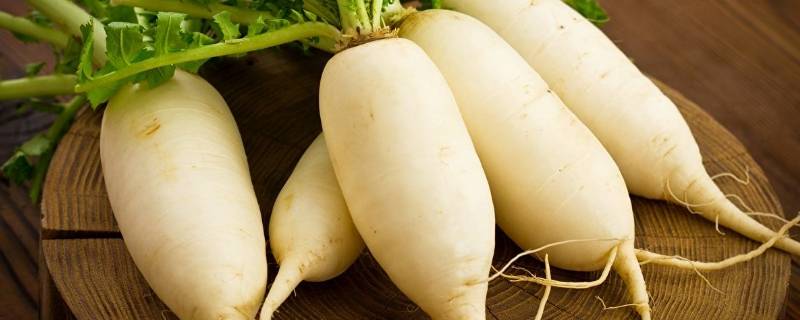 怎样储存萝卜不糠心 萝卜怎么储存不糠心