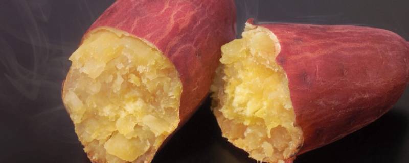 哈密红薯品种特征介绍 哈密薯特征特性