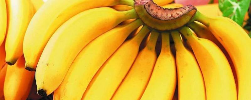 香蕉里面是红色怎么回事 香蕉有红色