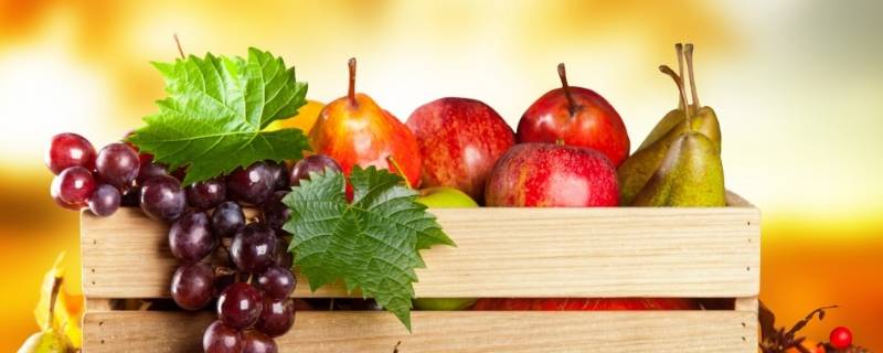 秋天成熟的果子有哪些水果 秋天成熟的果子有哪些水果并写一句话