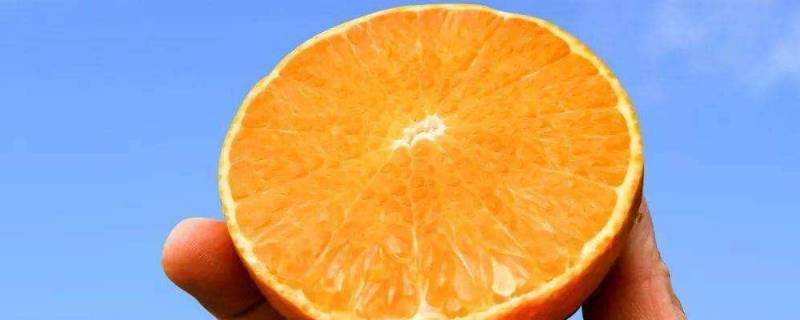 果冻橙是热性还是凉性 果冻橙是热性还是凉性水果
