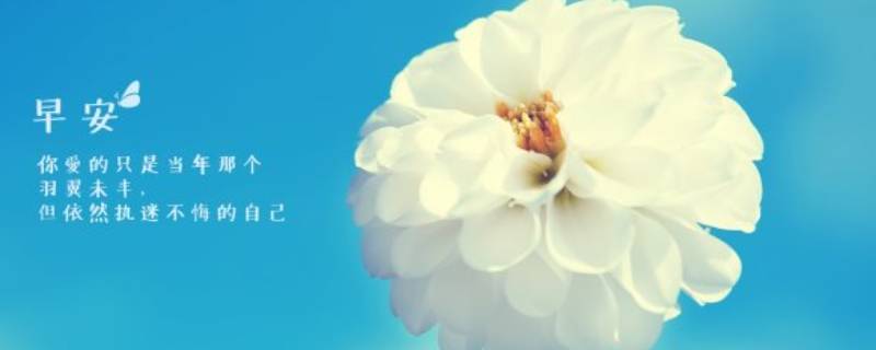 雨后的清晨心情短语早安（雨后清晨早安简短一句话）