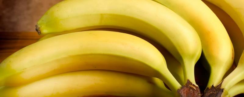 香蕉种类 香蕉种类名称图片大全