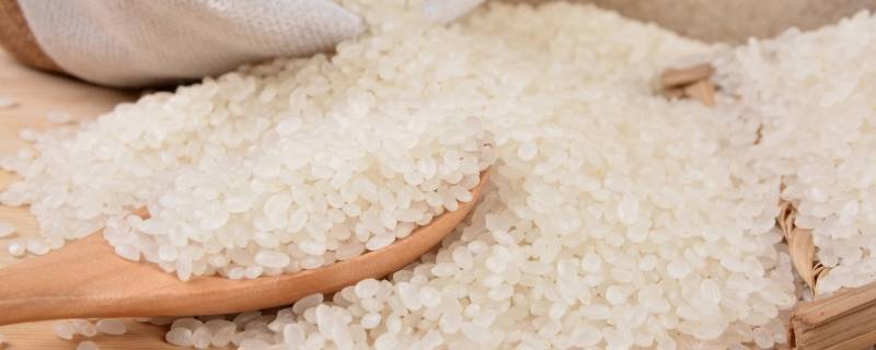 响水贡米是哪里产的 响水贡米为啥这么贵?