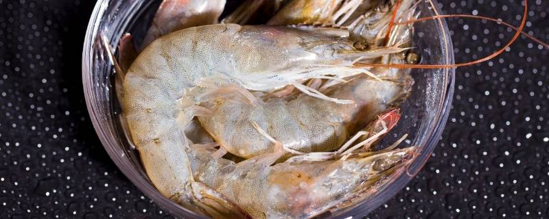 淡水虾和海水虾的区别（淡水虾和海水虾的区别在哪里）