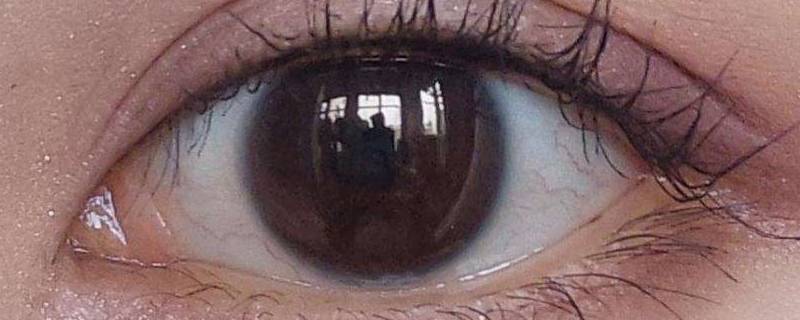 人类是单眼还是复眼 如果人类有复眼会怎么样