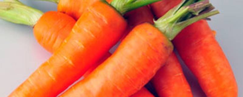 胡萝卜可以放冰箱保存吗 胡萝卜可以放冰箱保存吗?