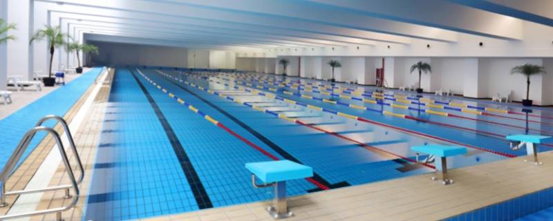 天天游泳怎么防氯水（天天游泳氯气对身体的影响）