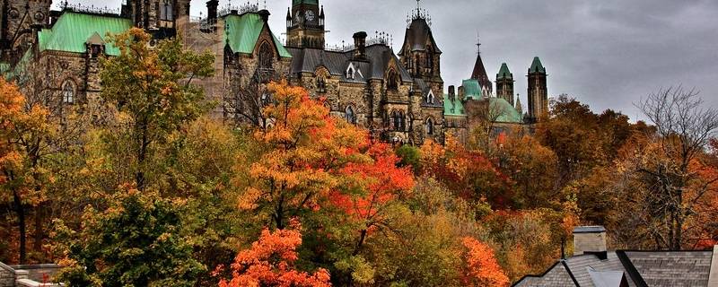 加拿大讲的是什么语言 加拿大说的是哪种语言