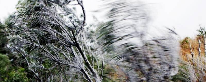 12级风能吹动多重的东西（12级风能吹起多重的东西）