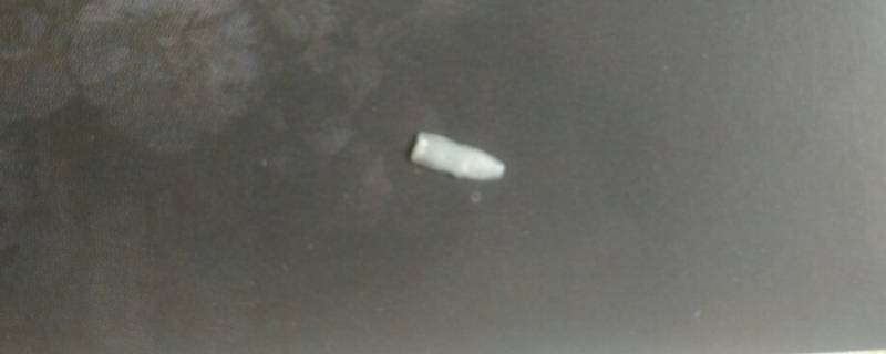白色扁扁的虫子是什么（白色扁扁的虫子是什么透明的拇指大小）