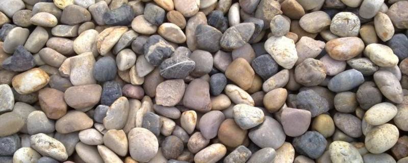 鹅卵石是岩石吗（鹅卵石是什么岩石）