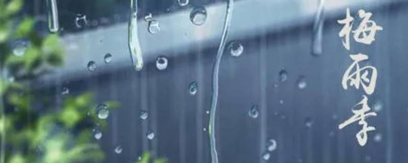 黄梅天怎么让家里不潮湿 黄梅天气家里潮湿怎么办