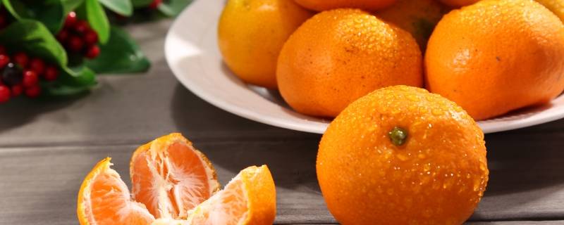 蜜桔和蜜橘有什么区别（蜜桔跟橘子区别）