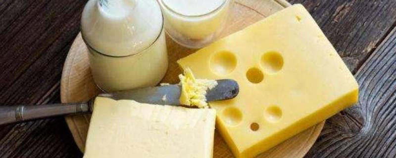 奶酪原理 奶酪原理是谁提出的