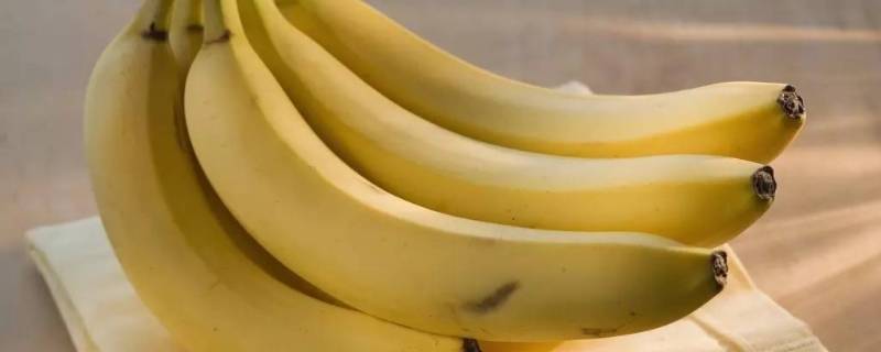 香蕉皮是什么部位 香蕉皮是什么东西