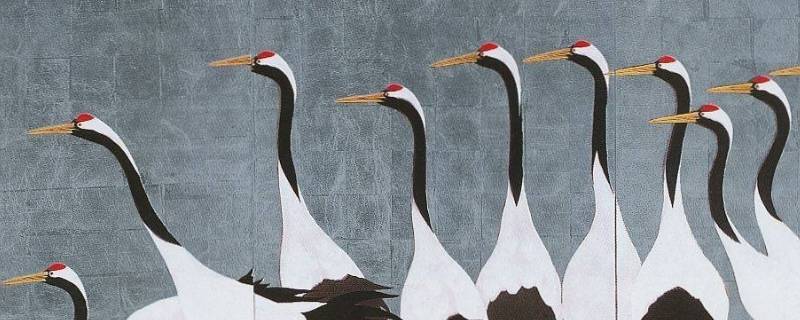 丹顶鹤的类别是什么 丹顶鹤的类别是什么食物吃的是什么