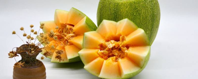 二十种带瓜的水果（什么水果带瓜）