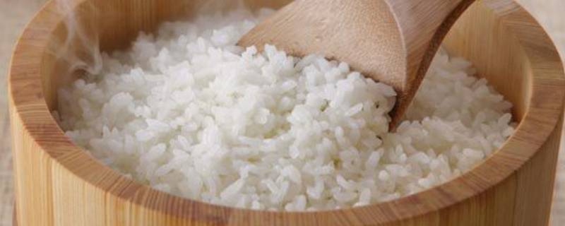 米饭冷冻可以保存多久（做好的米饭冷冻能放多久）