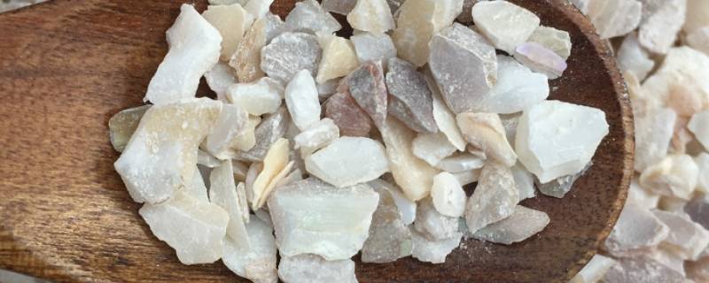 珍珠母是什么东西（珍珠母是什么东西?）