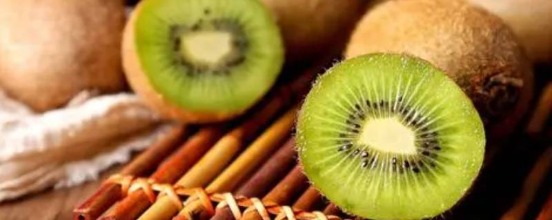 kiwi是什么水果（kiwifruit是什么水果）