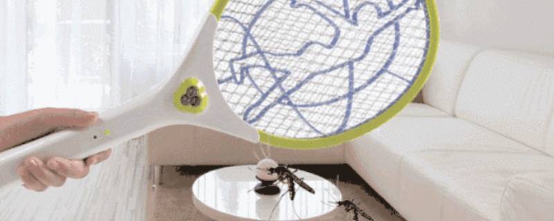 蟑螂为什么不能用电蚊拍 蟑螂能用电蚊拍吗