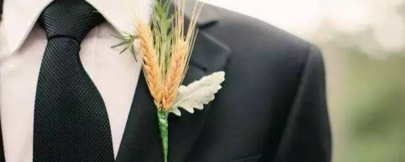 胸花别在左侧还是右侧 新娘胸花别在左侧还是右侧