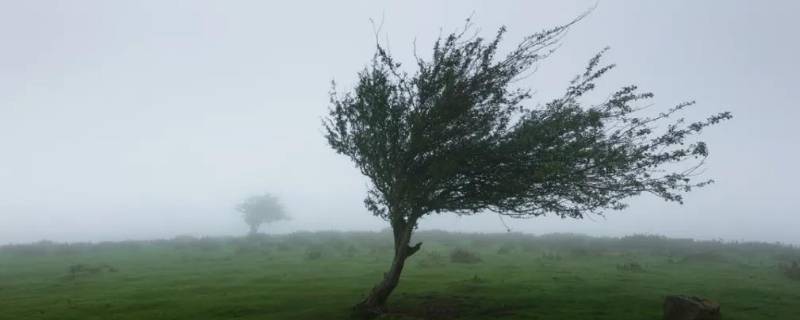 北风10级大吗（北风10-11级）