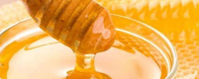 蜂蜜的用途 蜂蜜的用途有哪些