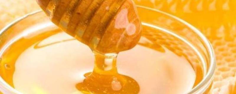 蜂蜜起泡沫是怎么回事 蜂蜜起泡沫是怎么回事还能吃吗