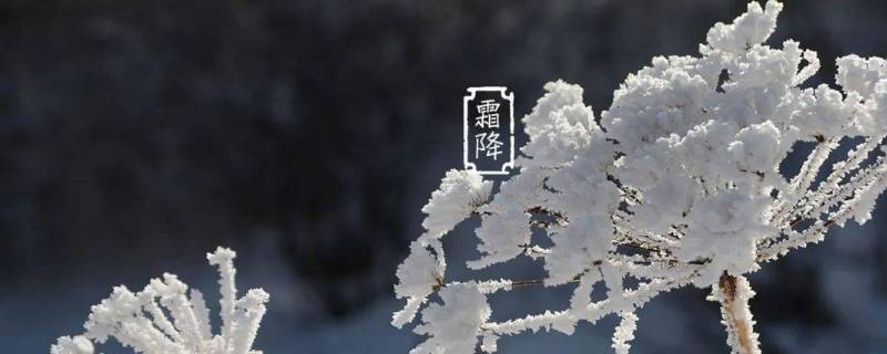 霜降说说 霜降说说发朋友圈开心句子